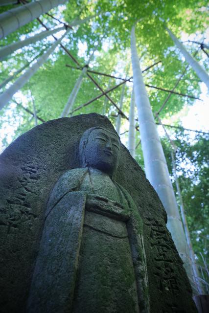 鎌倉タムタク写真部