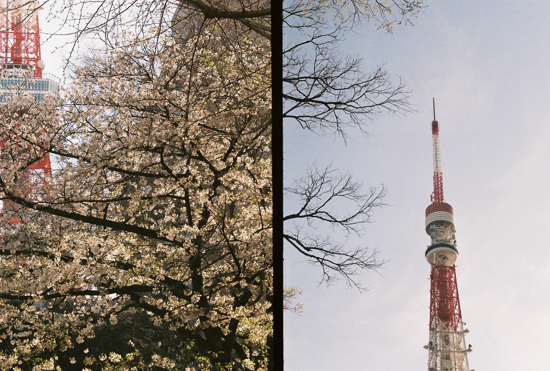 Leica 72 wetzlarで東京タワーを撮影した写真