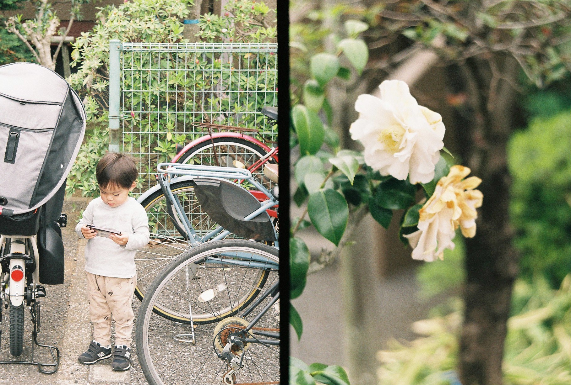 Leica 72 wetzlarで子供と花を撮影した写真