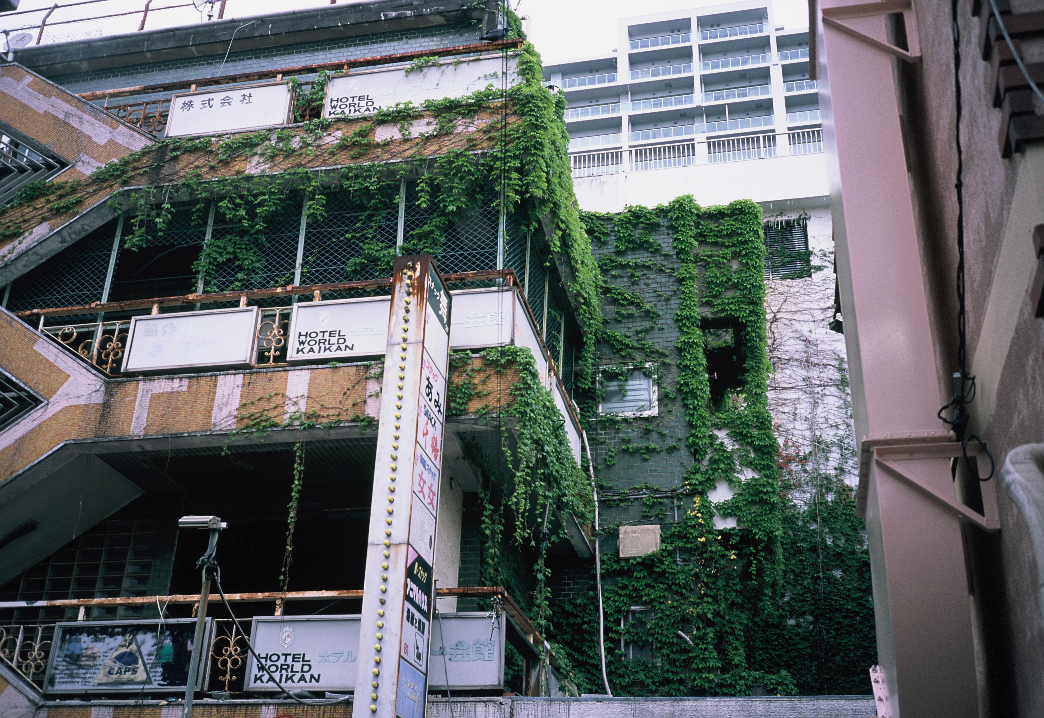 FUJIFILM KLASSEでツタの生えた建物を撮影した写真