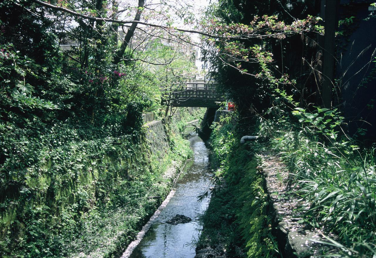 Leica Tri-Elmar-M f4/28-35-50mm ASPH. で渓谷を撮影した写真