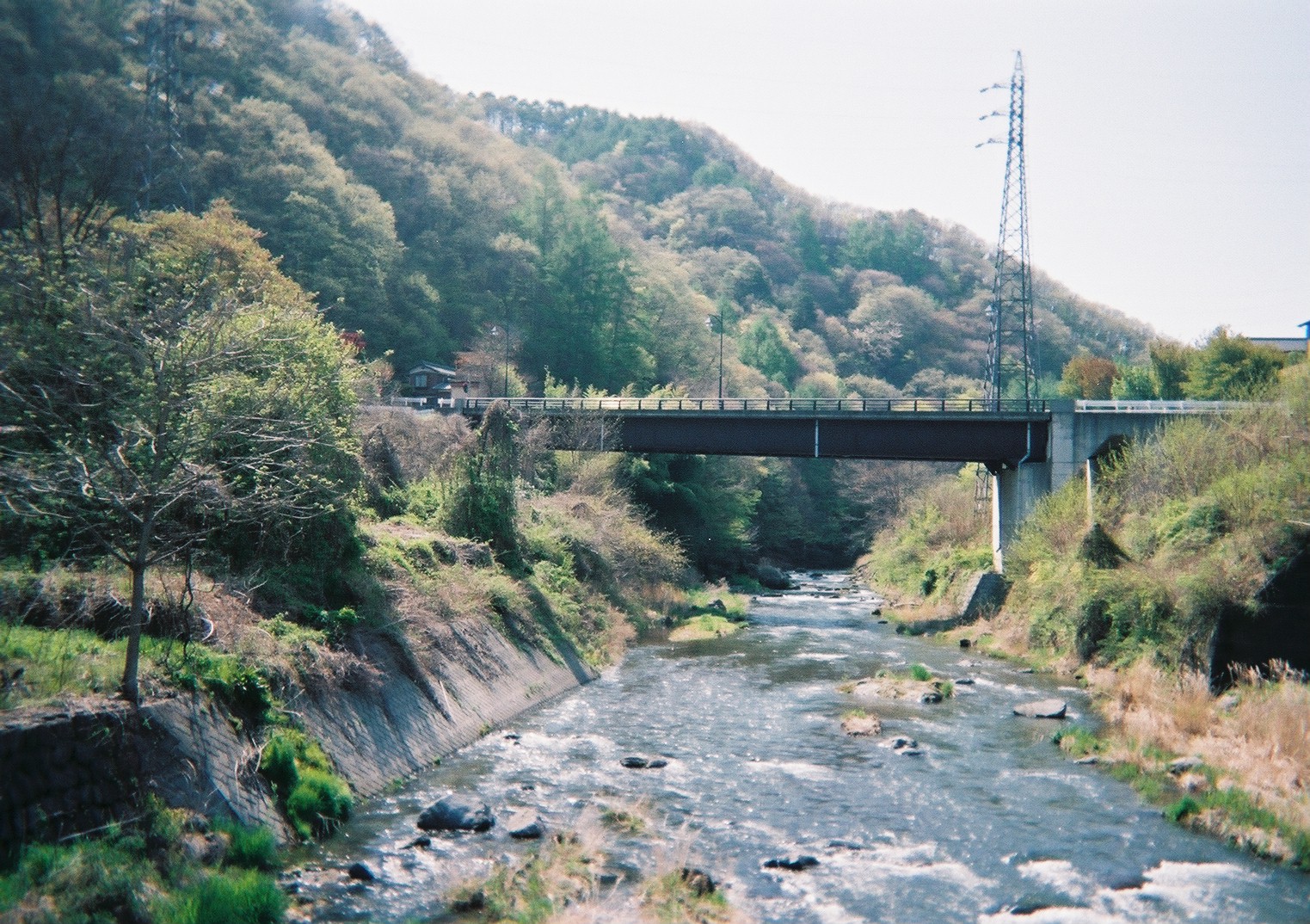 富士フイルム 写ルンです シンプルエース 作例