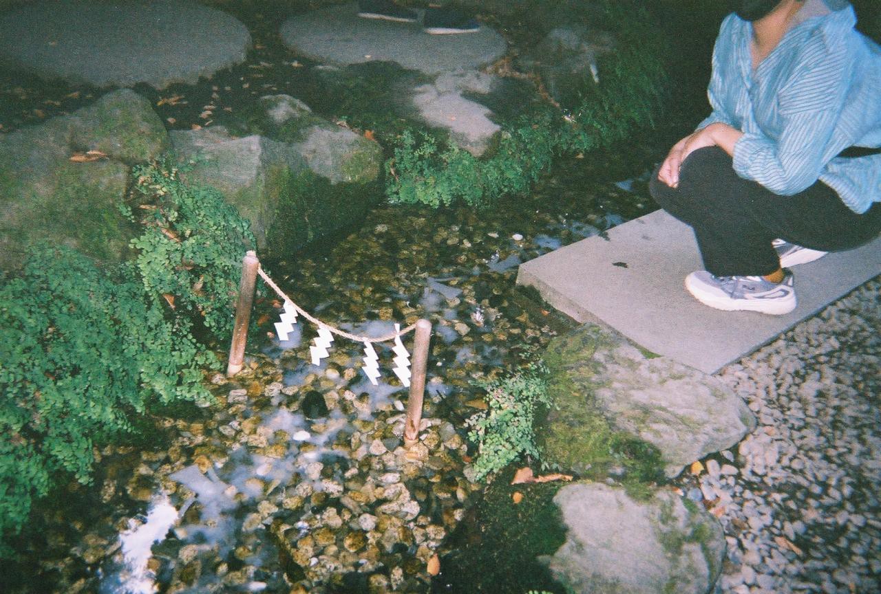 写ルンです フラッシュONで撮影