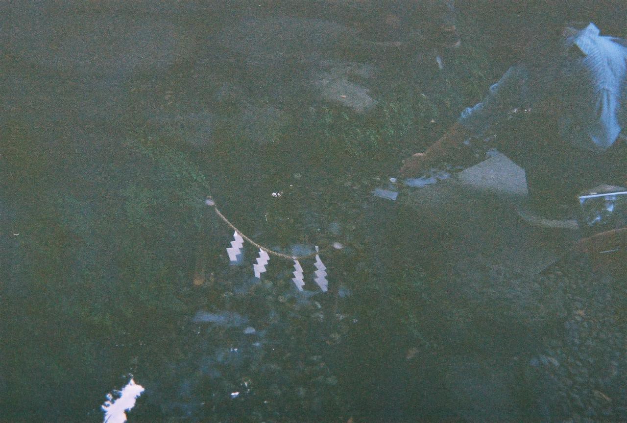 写ルンです フラッシュOFFで撮影