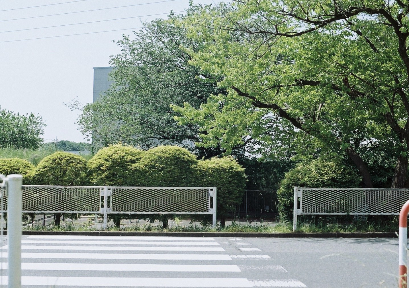 Kodak ProImage 100 作例