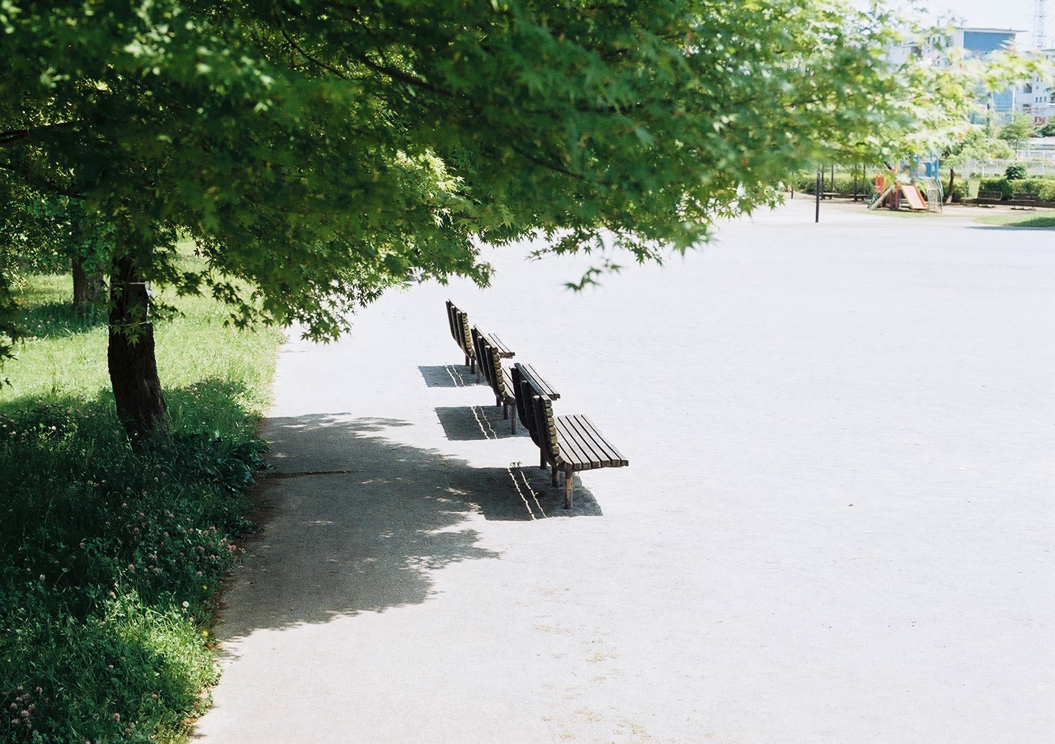 Kodak ProImage 100 作例