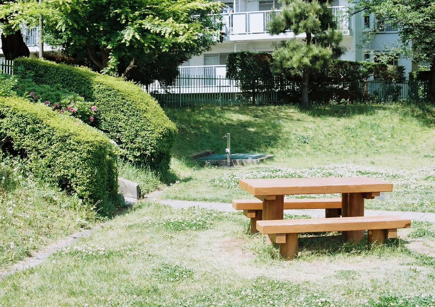 Kodak ProImage 100（Camera: Nikon FE2 Lens: AI Nikkor 50mm f1.4/S） 作例