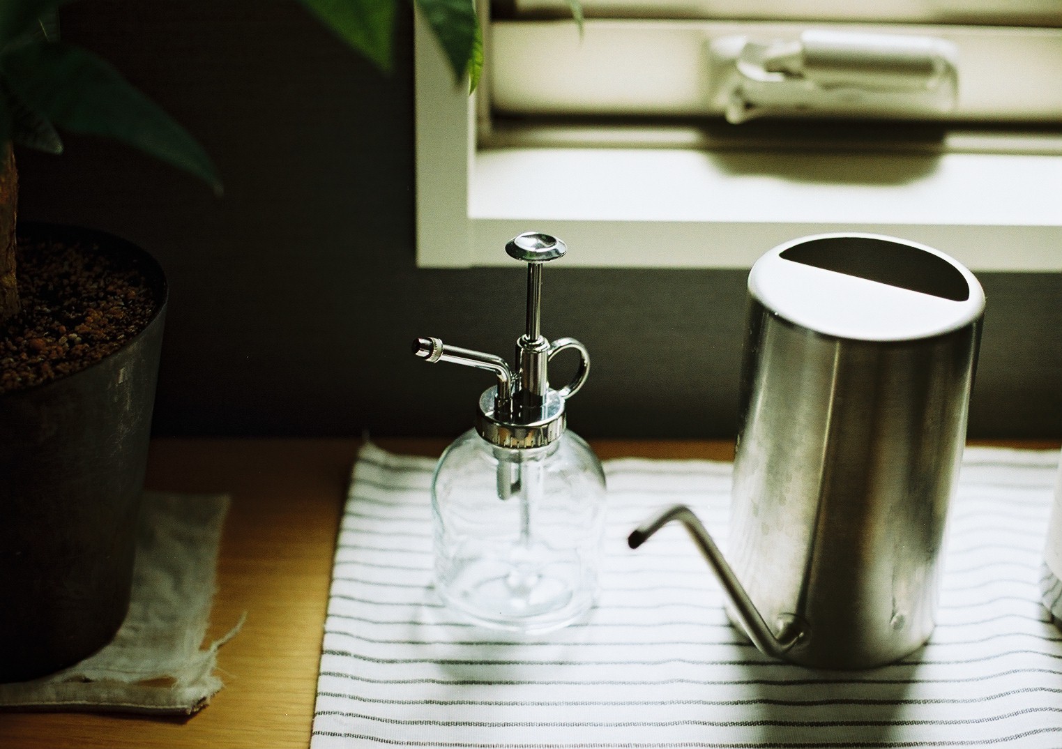 Kodak ProImage 100（Camera: Nikon FE2 Lens: AI Nikkor 50mm f1.4/S） 作例