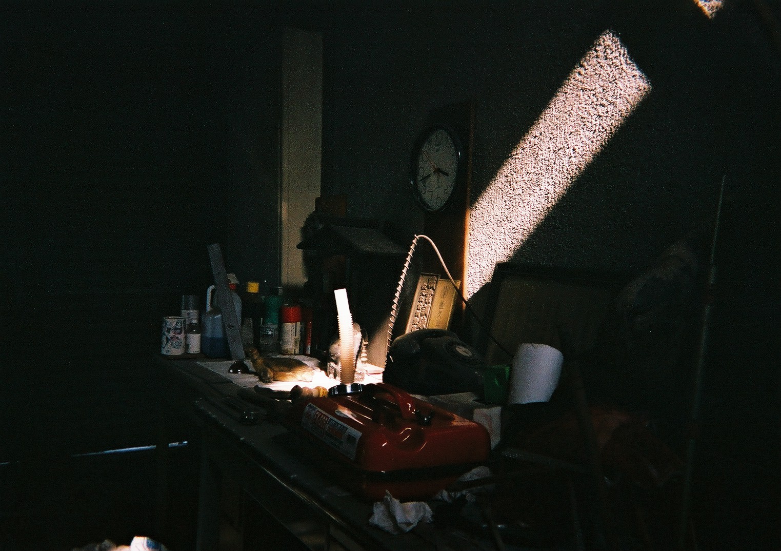 富士フイルム 写ルンです シンプルエース（室内フラッシュなし） 作例