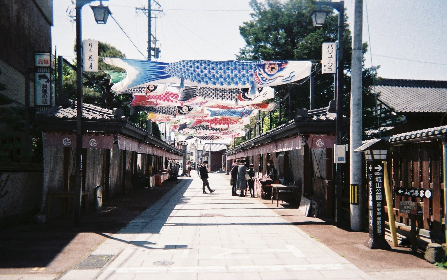 富士フイルム 写ルンです シンプルエース 作例