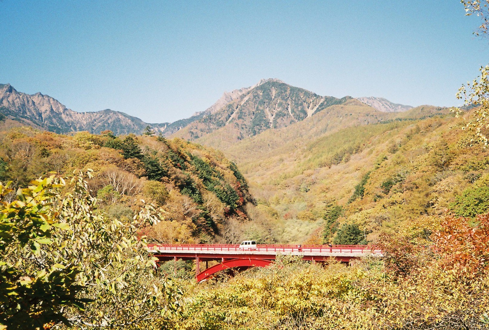 富士フイルム FUJICOLOR 100 作例