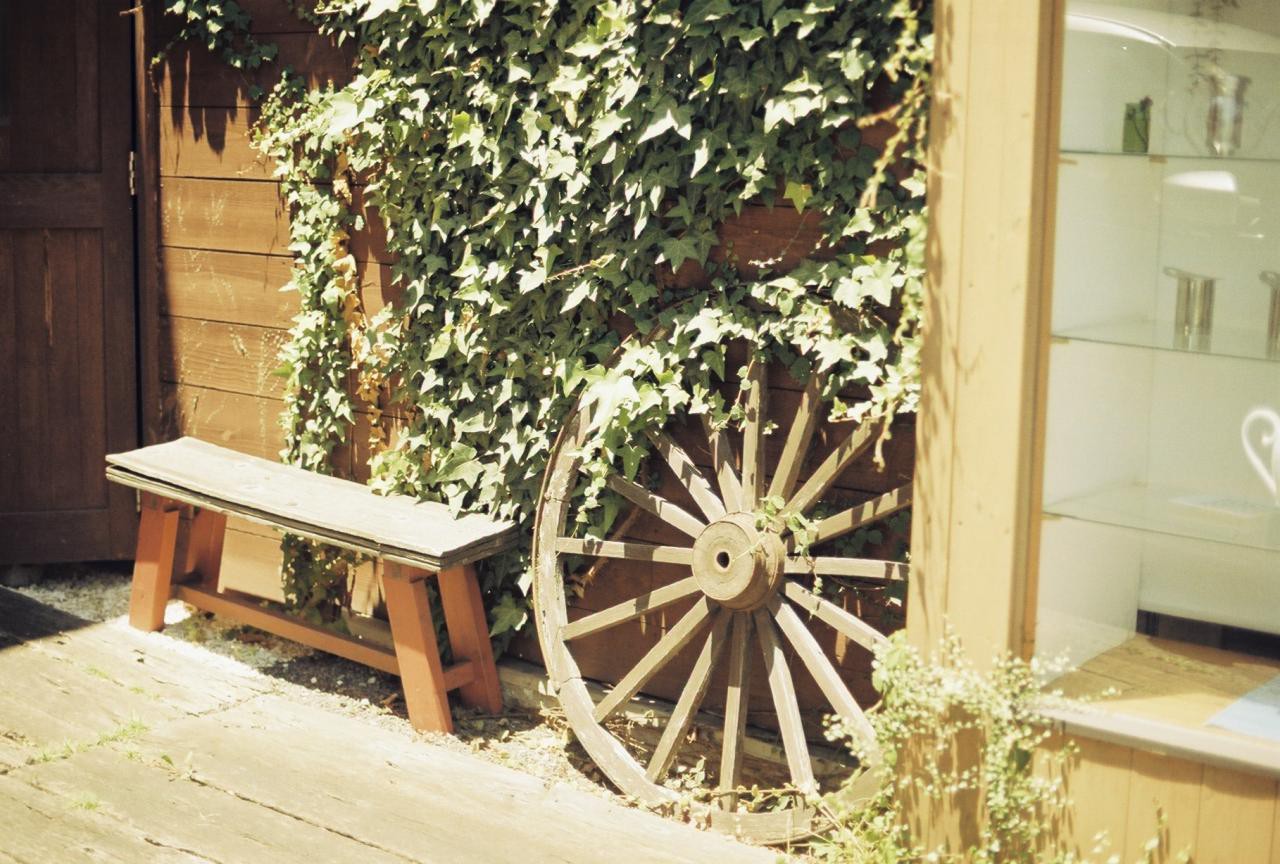 Kodak ProImage 100 作例