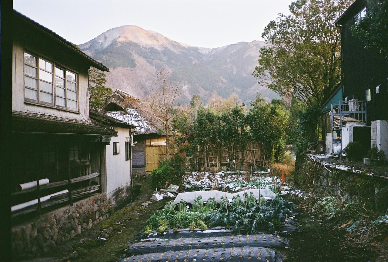 Kodak GOLD200とColorPlus200を撮り比べ