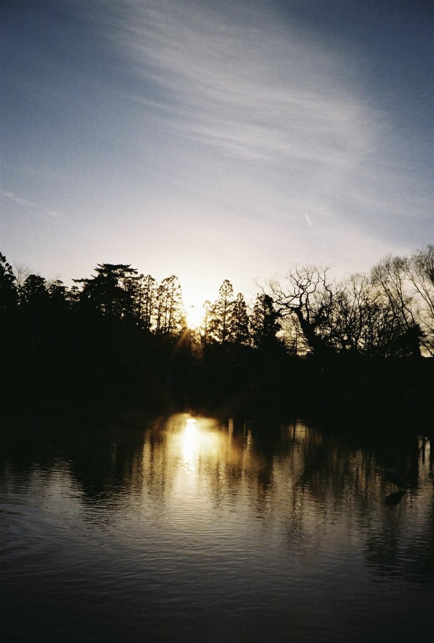 Kodak GOLD200とColorPlus200を撮り比べ