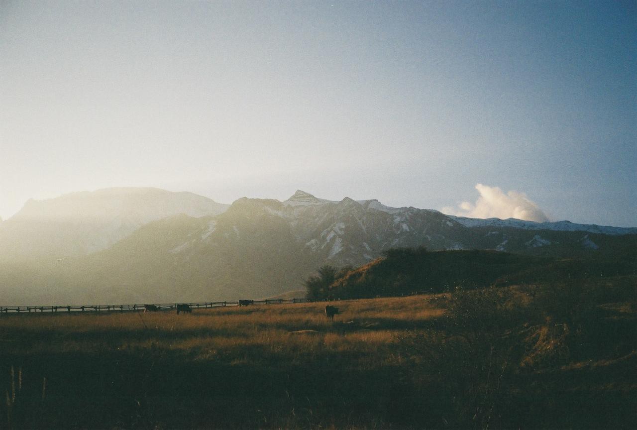 Kodak GOLD200とColorPlus200を撮り比べ