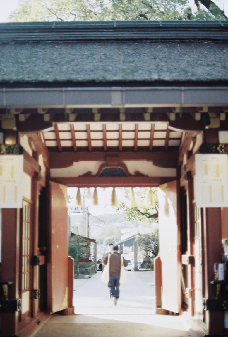 Kodak GOLD200とColorPlus200を撮り比べ