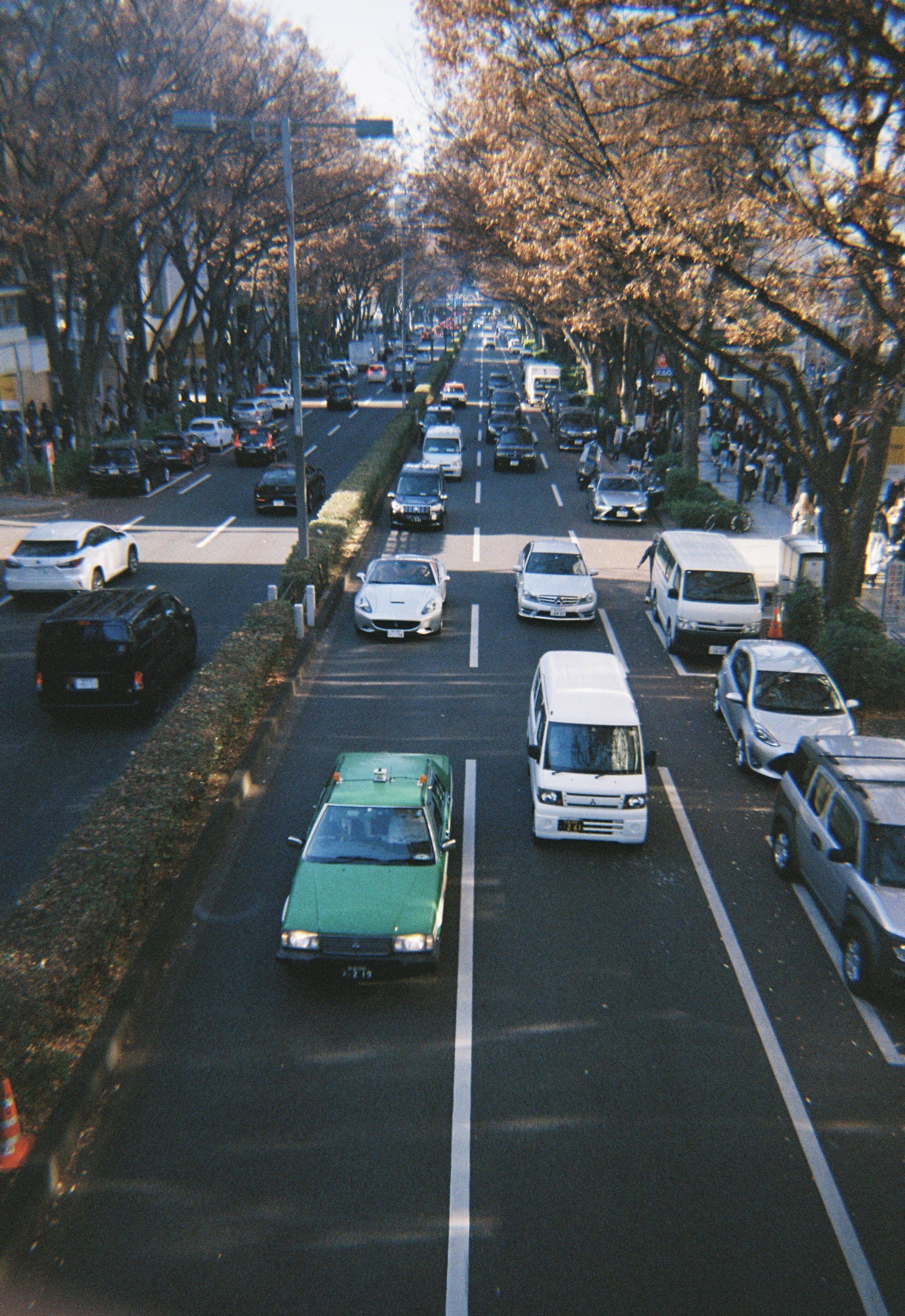 Kodak M38作例写真