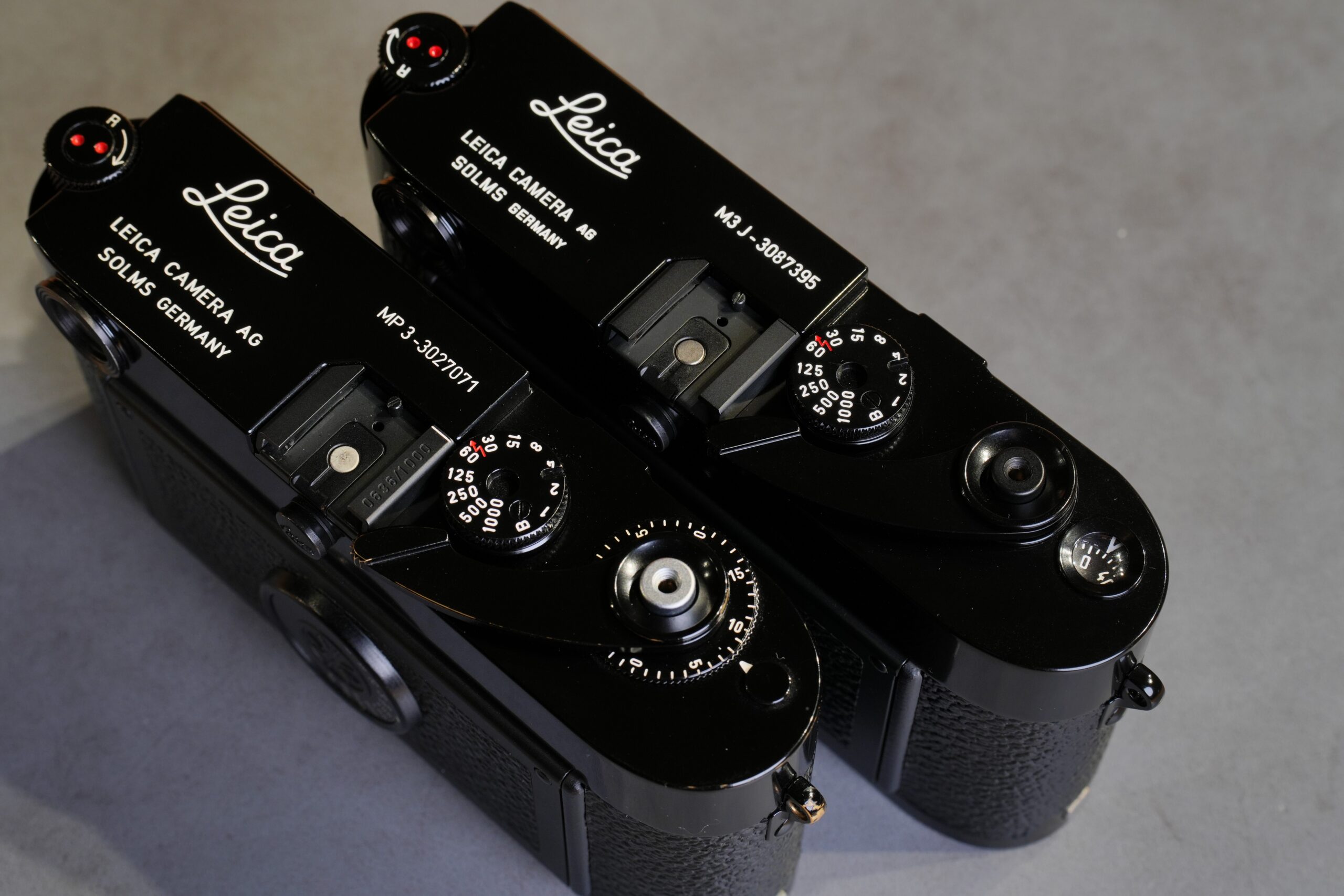 ゾルムス時代の限定生産モデル