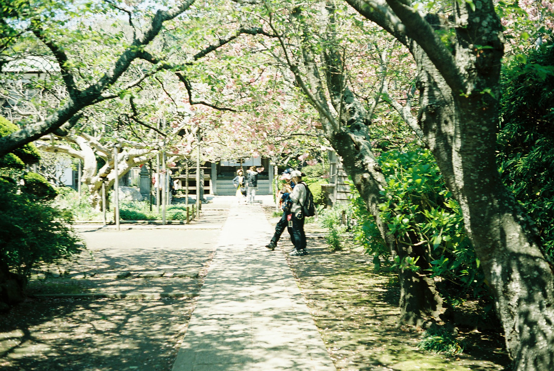 Kodak PORTRA 400（Camera: KONICA Auto S）作例