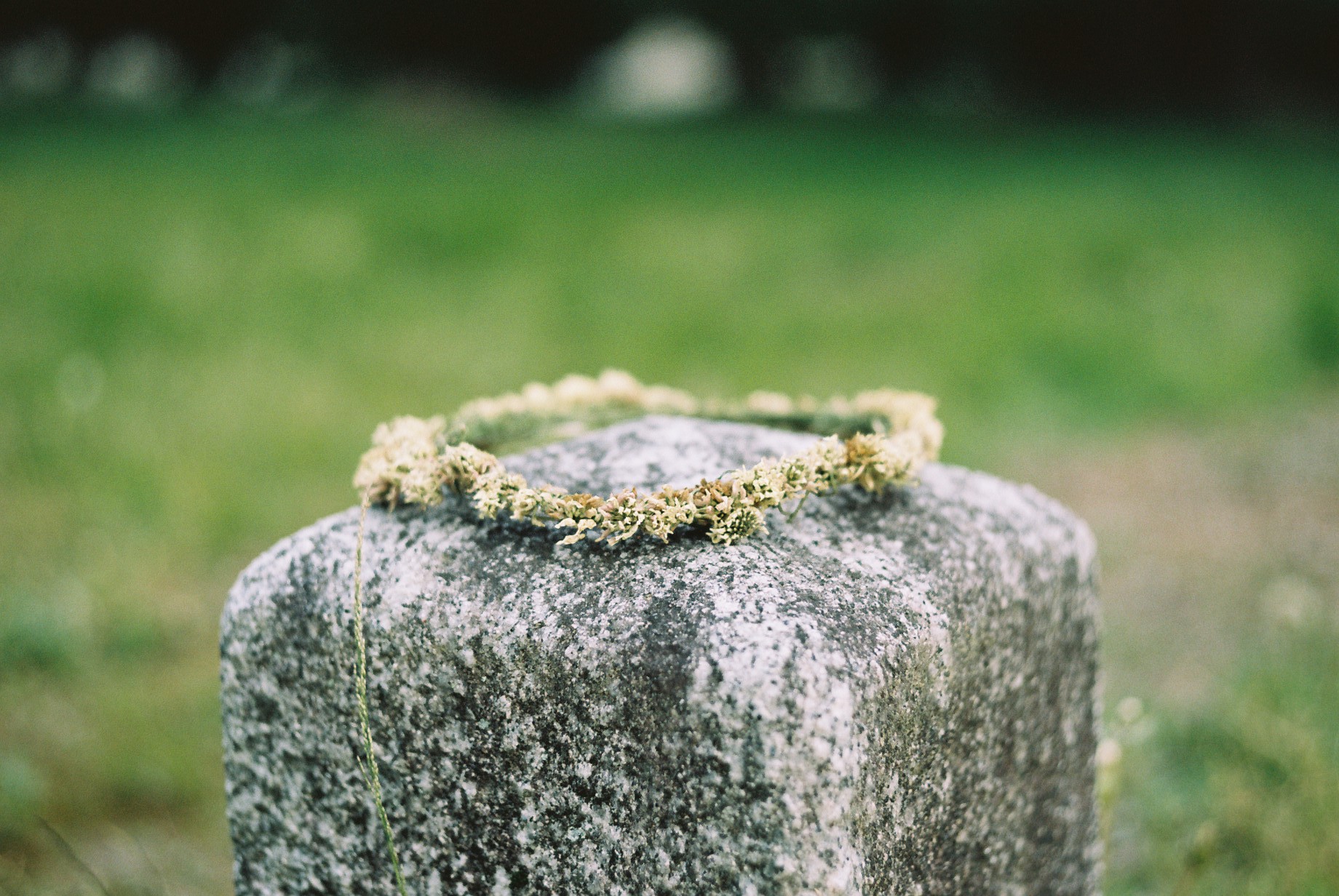 Kodak PORTRA160 （Camera: Leica M3　 Lens: Leica DR Summicron 50mm f/2 ）作例