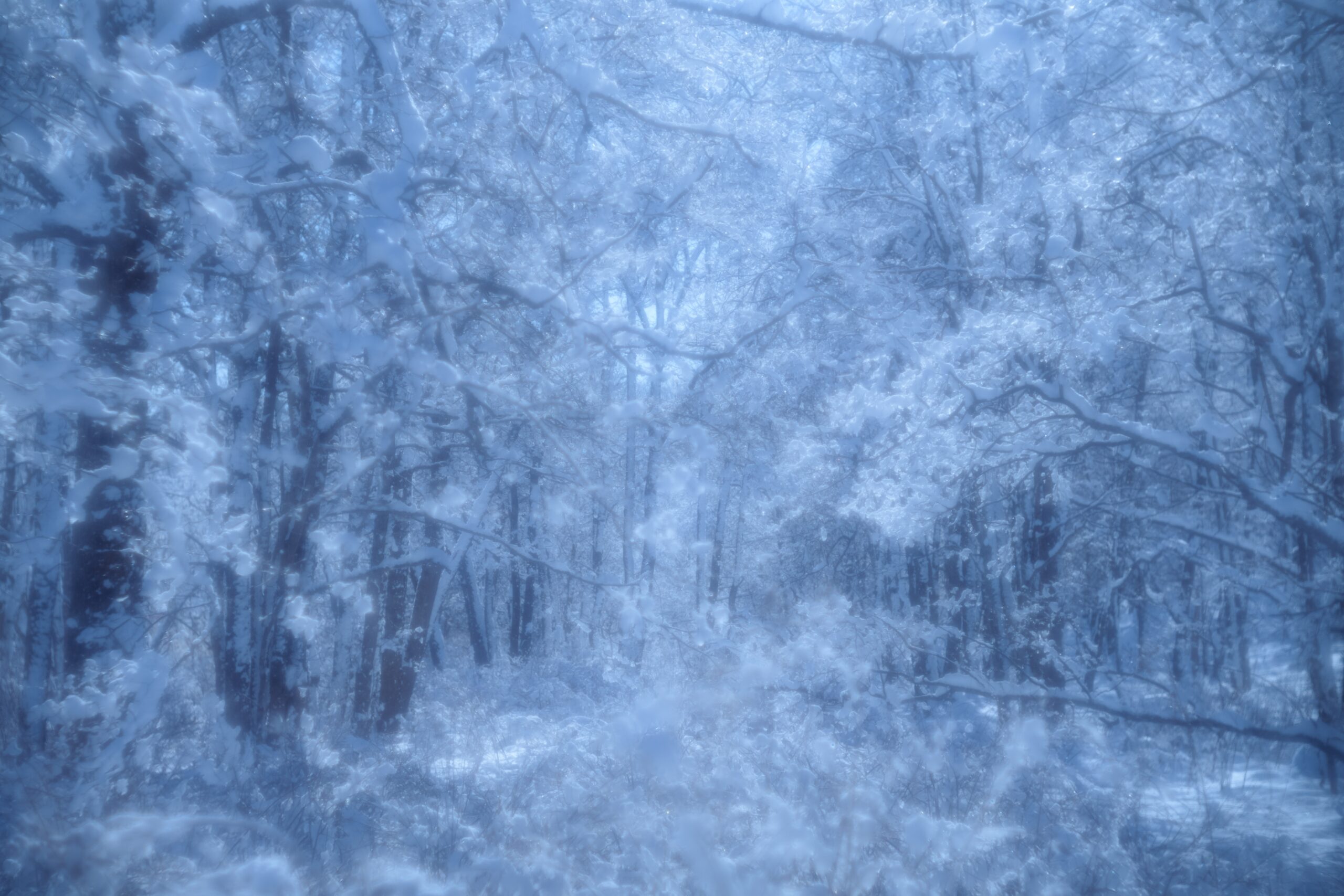 北海道で撮影した写真