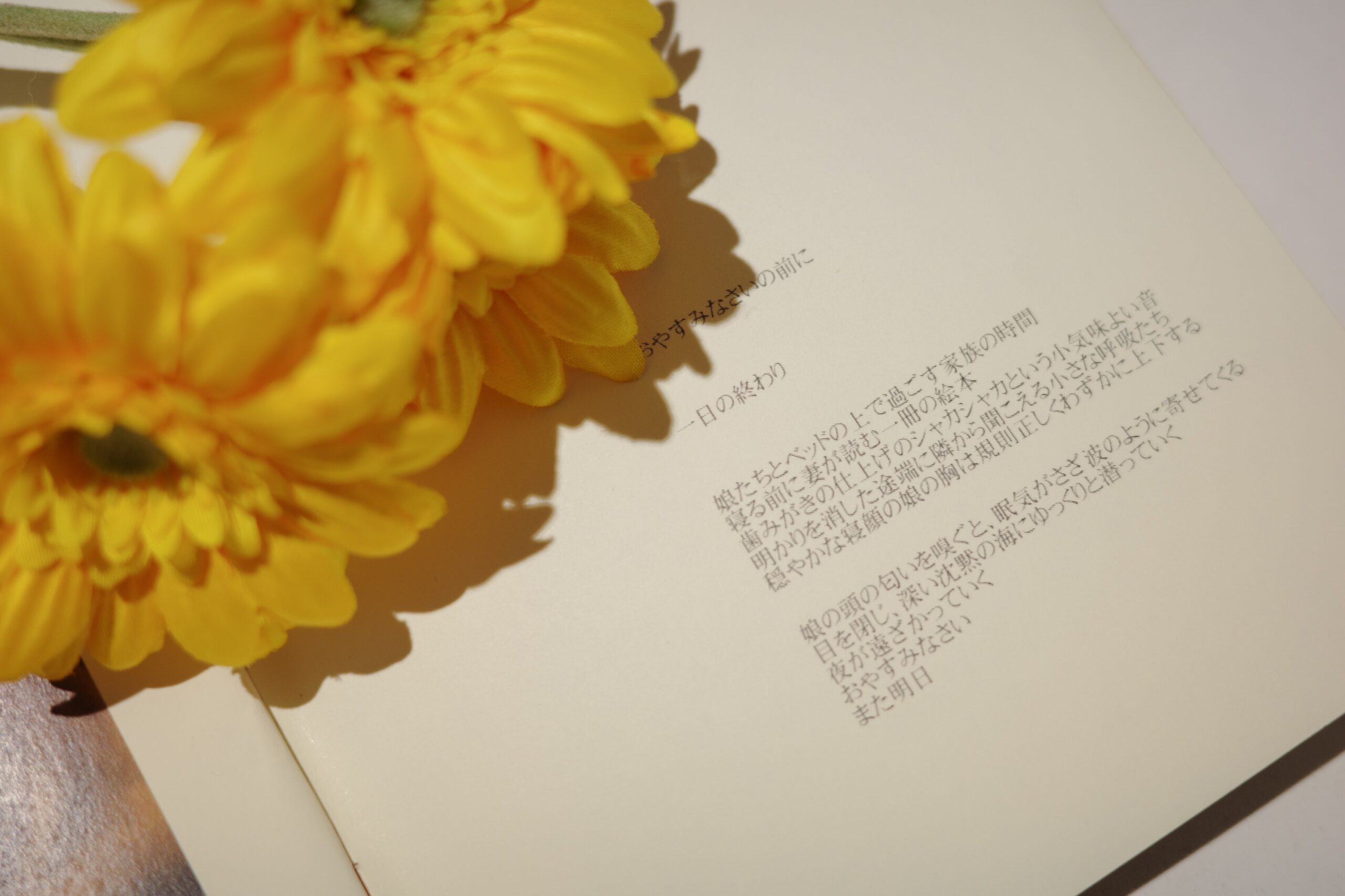 Photobook MAGAZINE タイプ