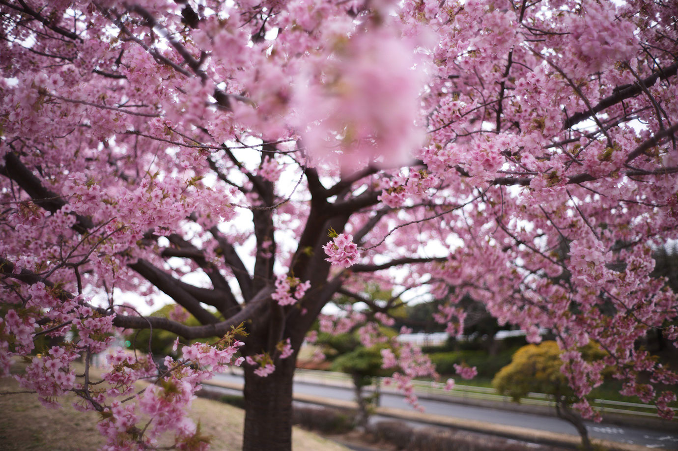 Lens: Leica Summilux-M 35/1.4 11301 Camera: Leica M11