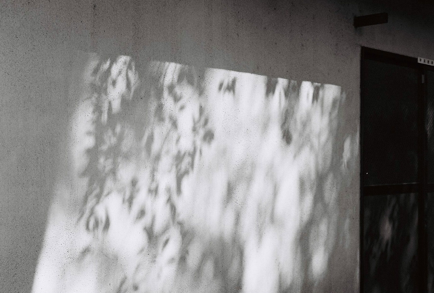 Leica '0' Series Replica f3.5/50mm Anastigmat作例