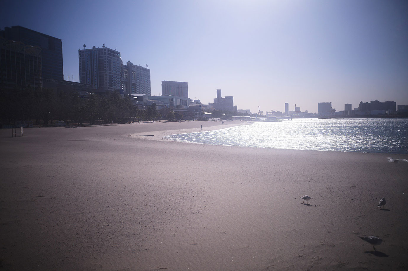 Lens: Leica Summaron L 28/5.6 Camera: Leica M11-P