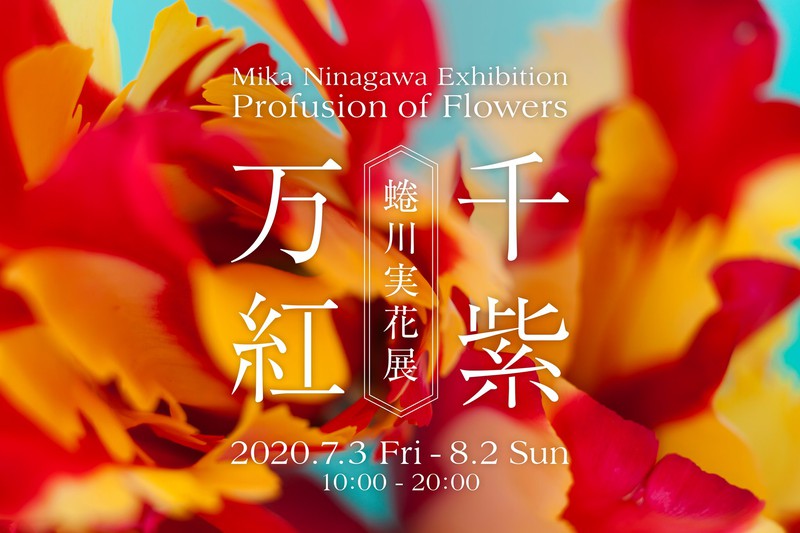 蜷川実花展 -千紫万紅