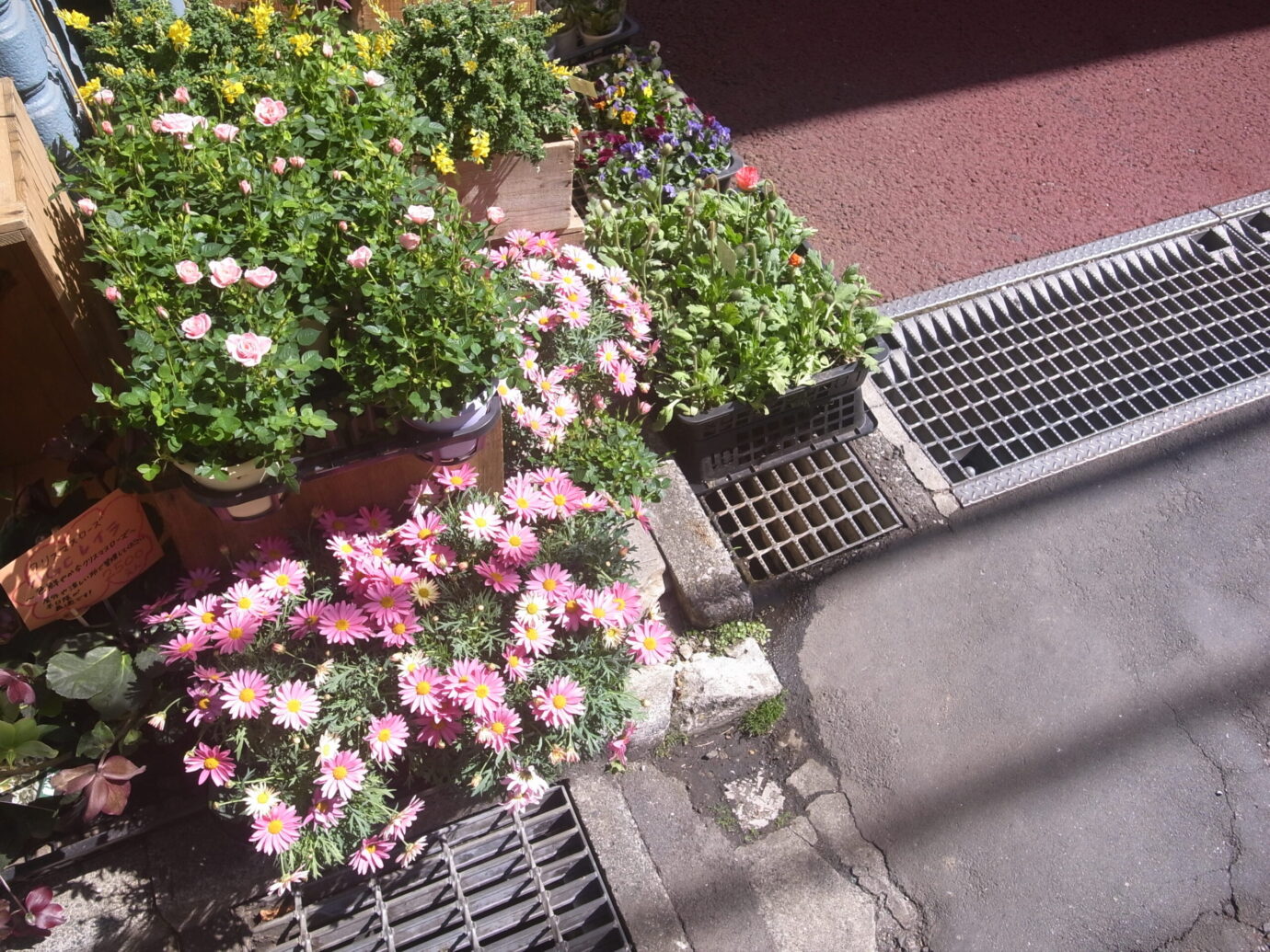GRIII 作例